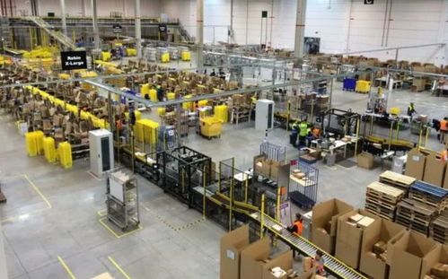 警惕人工智能覺醒 從派普機(jī)械到全球機(jī)器人傷人事件的反思