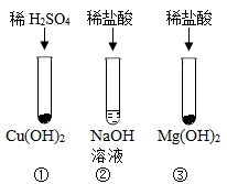 氫氧化鈉的探究 中和反應與純堿的關聯